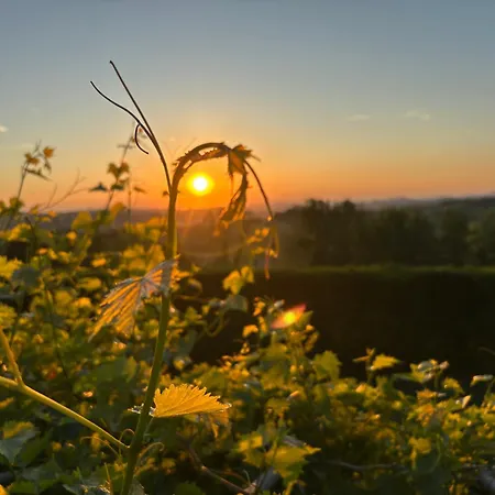 Tenuta Paradiso Del Monferrato Casa Dello Zio Апартаменты